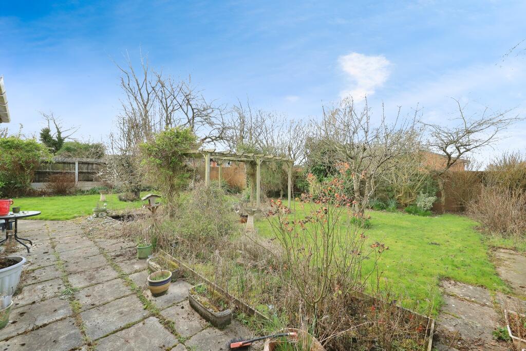 Rear Gardens