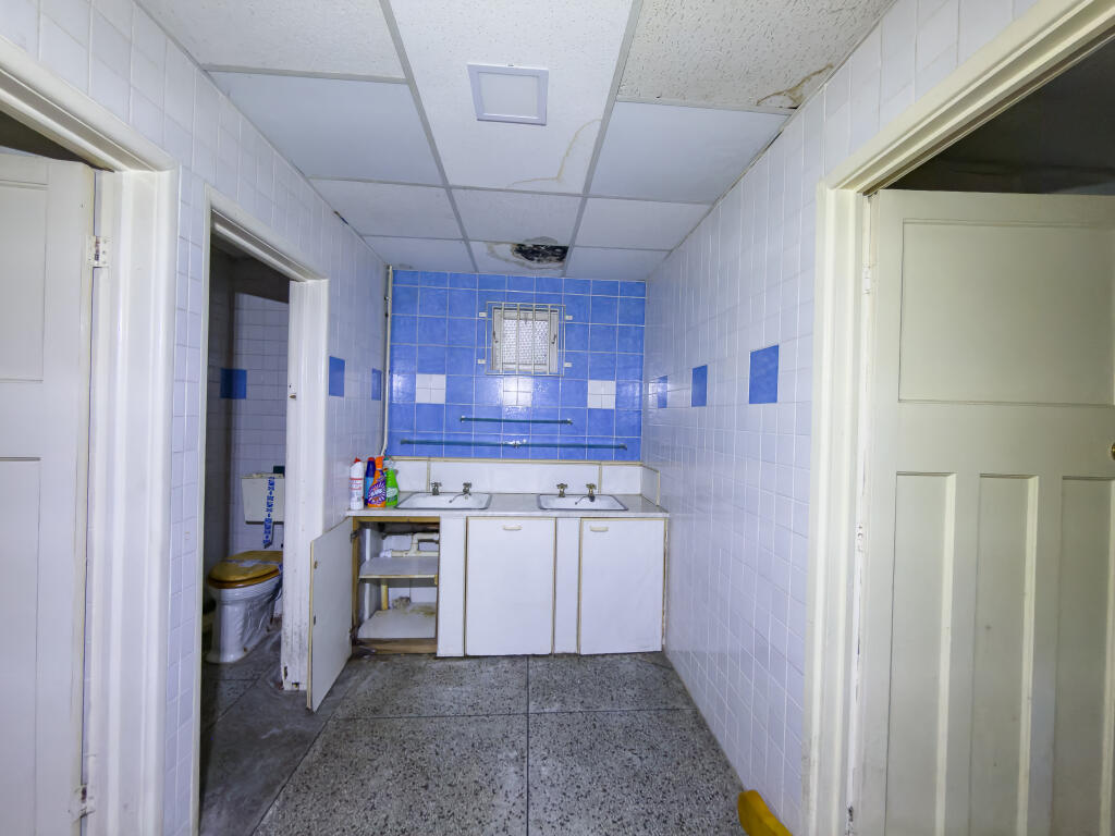 IMG 6443 2 T202510231701.jpg