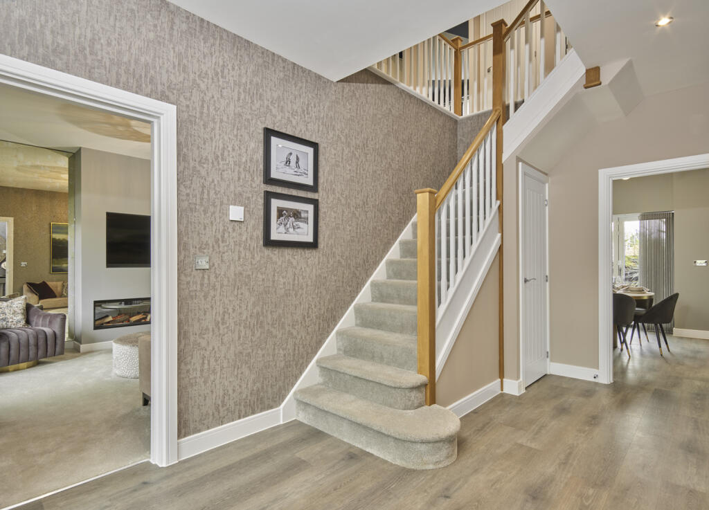 Indicative Photography