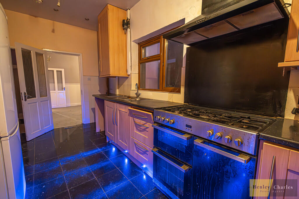 20241112-DSC01271...