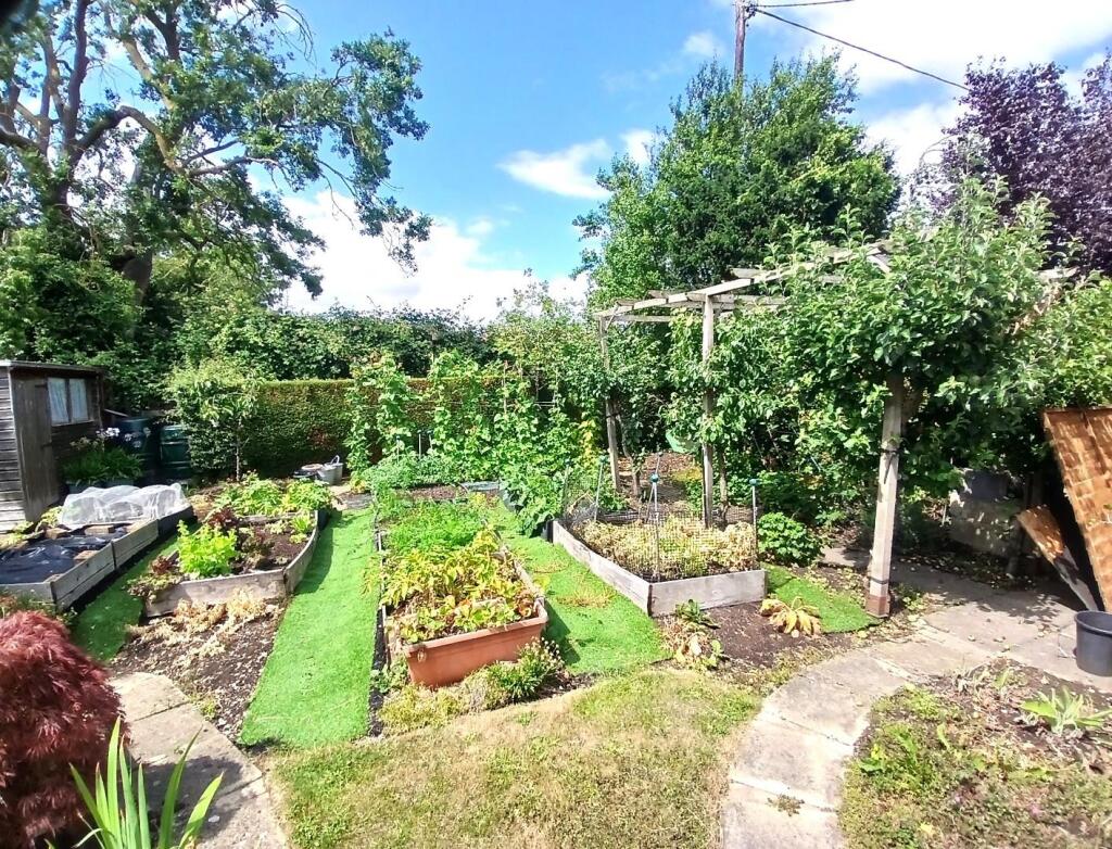 Garden 6.jpg