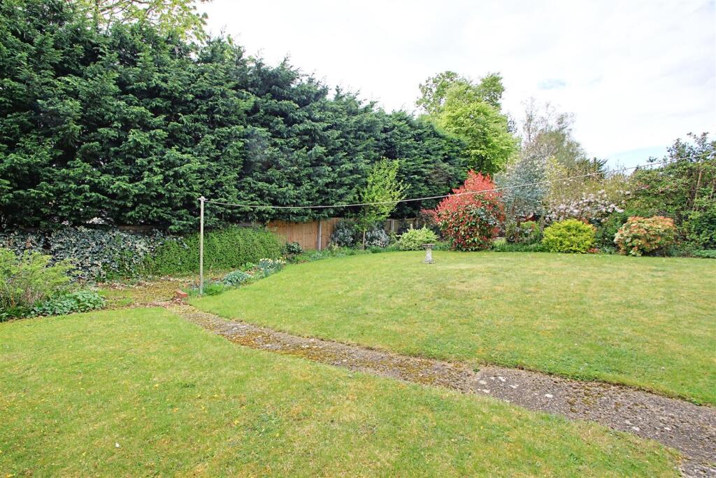 Garden 3.jpg