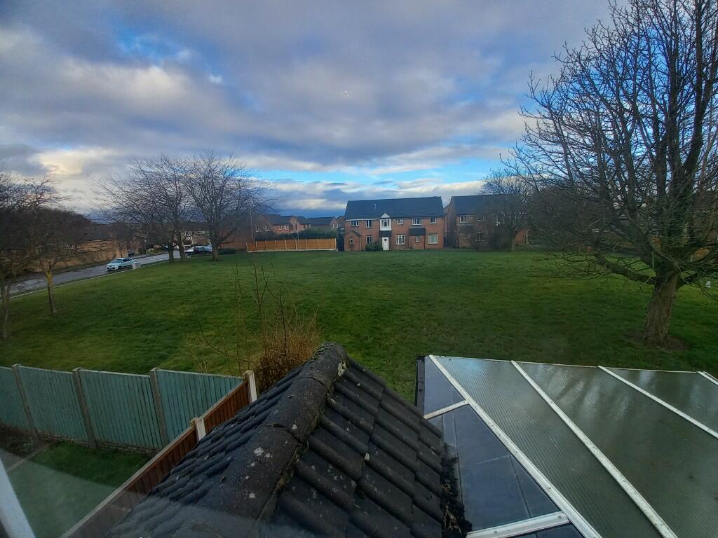 View green