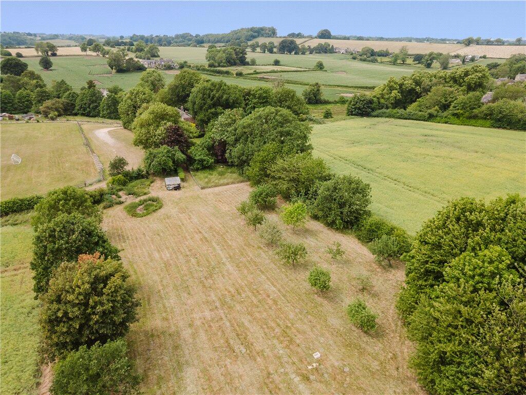 Orchard &amp; Meadow