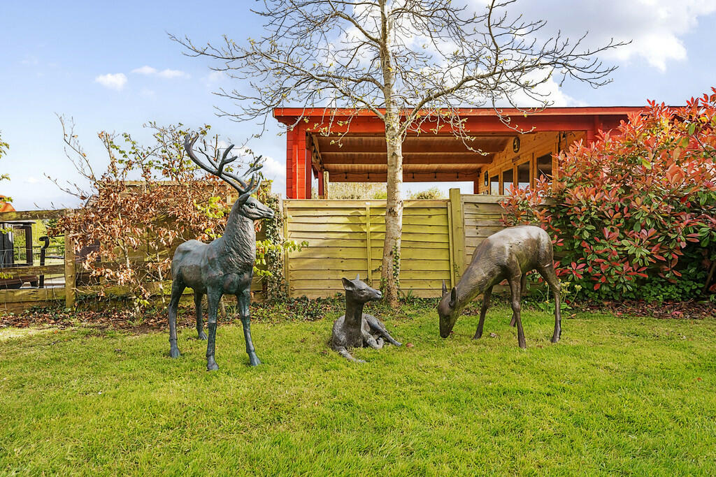 IMG_12217_20_larg...