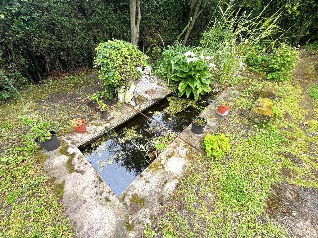 GARDEN POND
