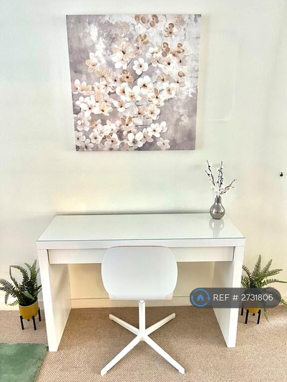 Study Area