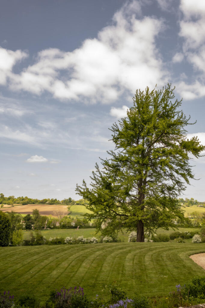 283704 - SLhr-28.jpg