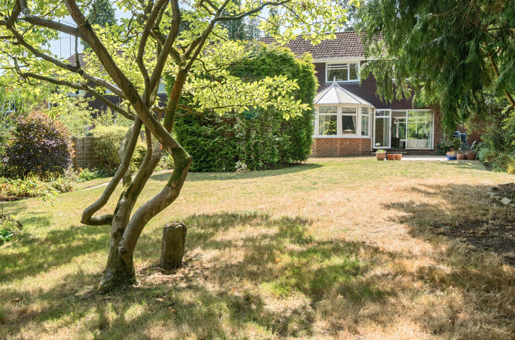 1315665-1-6893578...