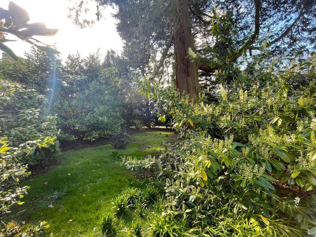 Hall Grounds