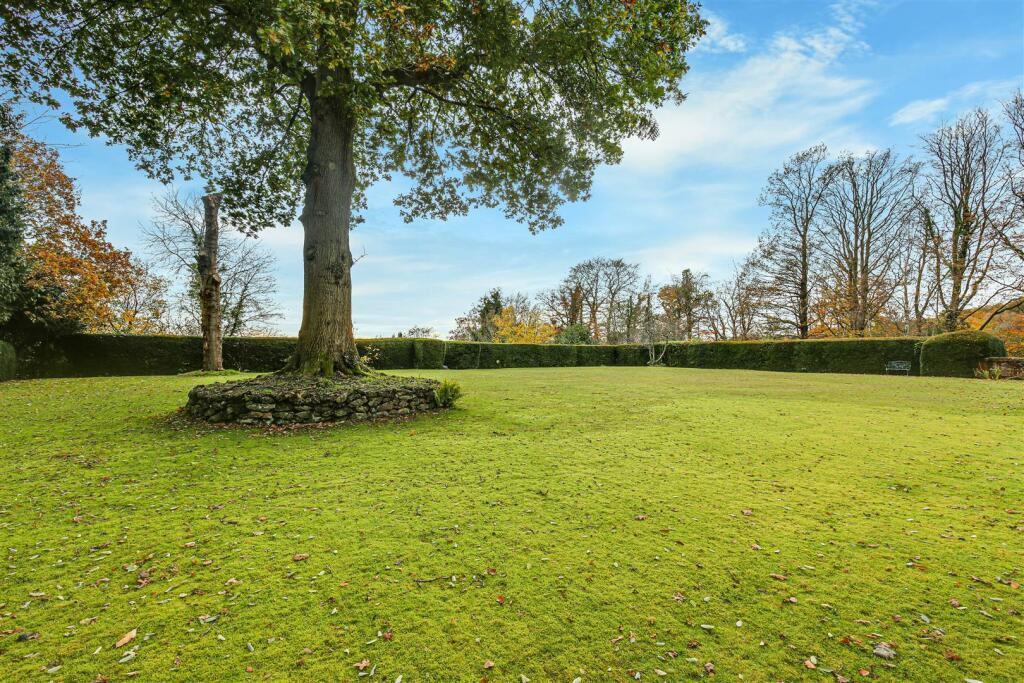 Rear Lawn (ii).jpg