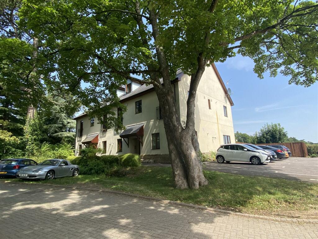 Front View