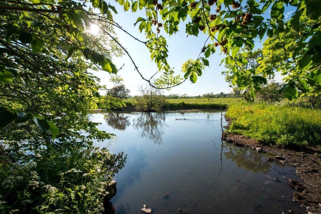 Lot 1 Pond