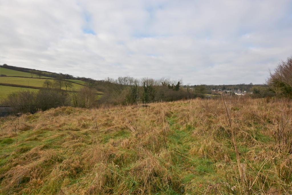 Exmoor Seddons