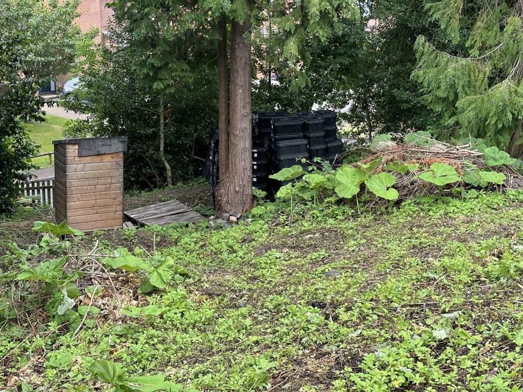 Messenger_creation_05a17ace-b1c1-4aa1-a777-41acc6b