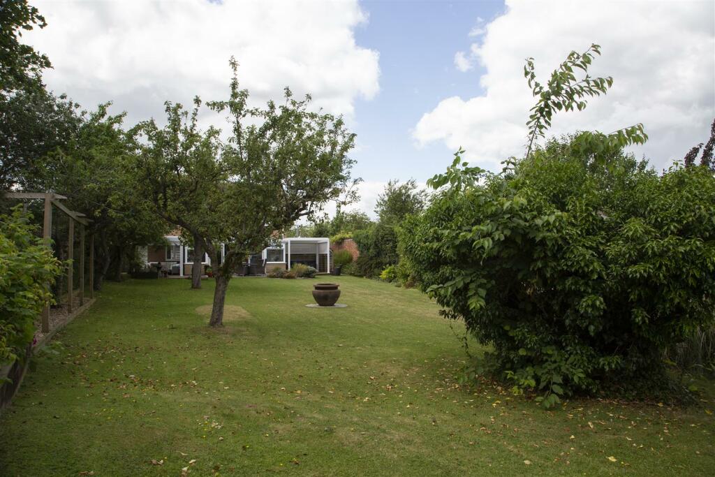 Garden 5.jpg