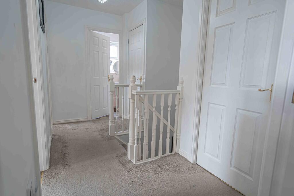 20250224-DSC02994...