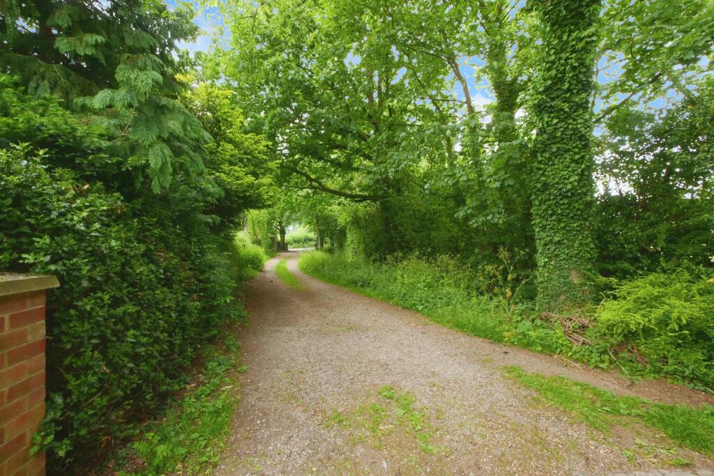 Lane leading to the property