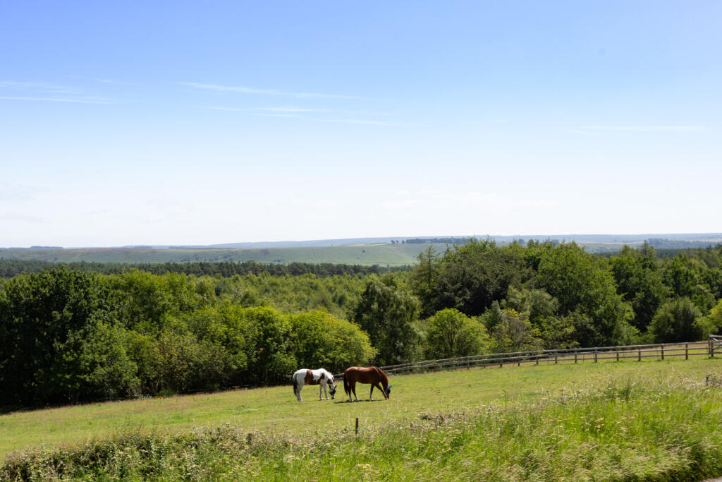 Grazing