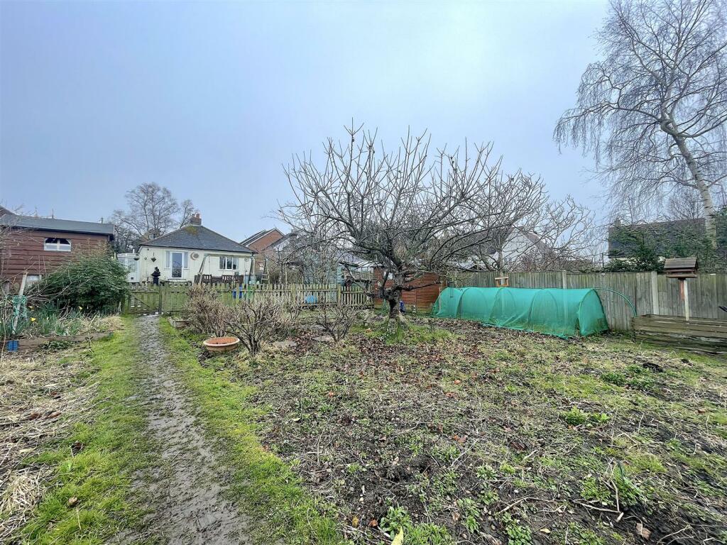 Garden (8).jpeg