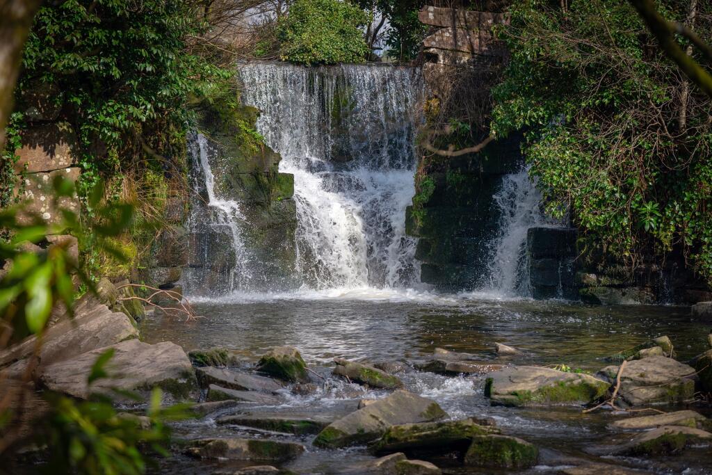 Penllergare valley woods in Penllergaer