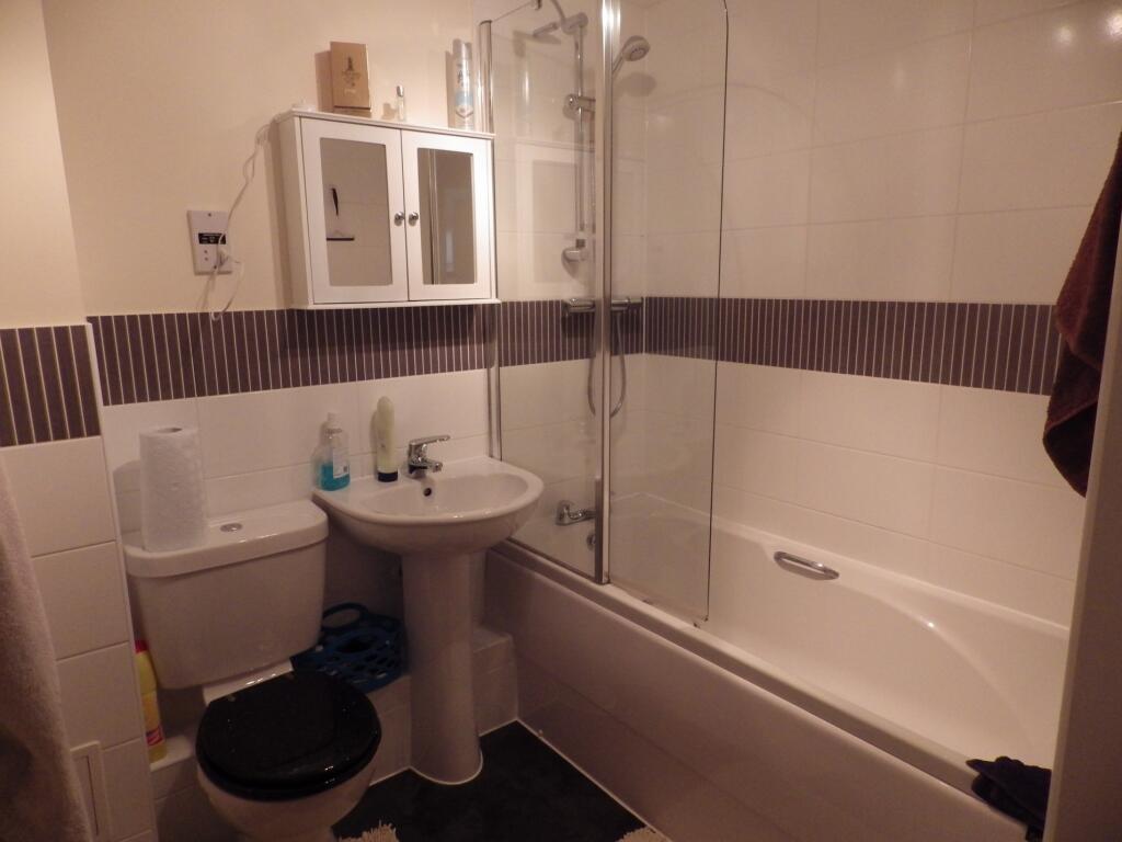 Picture 5