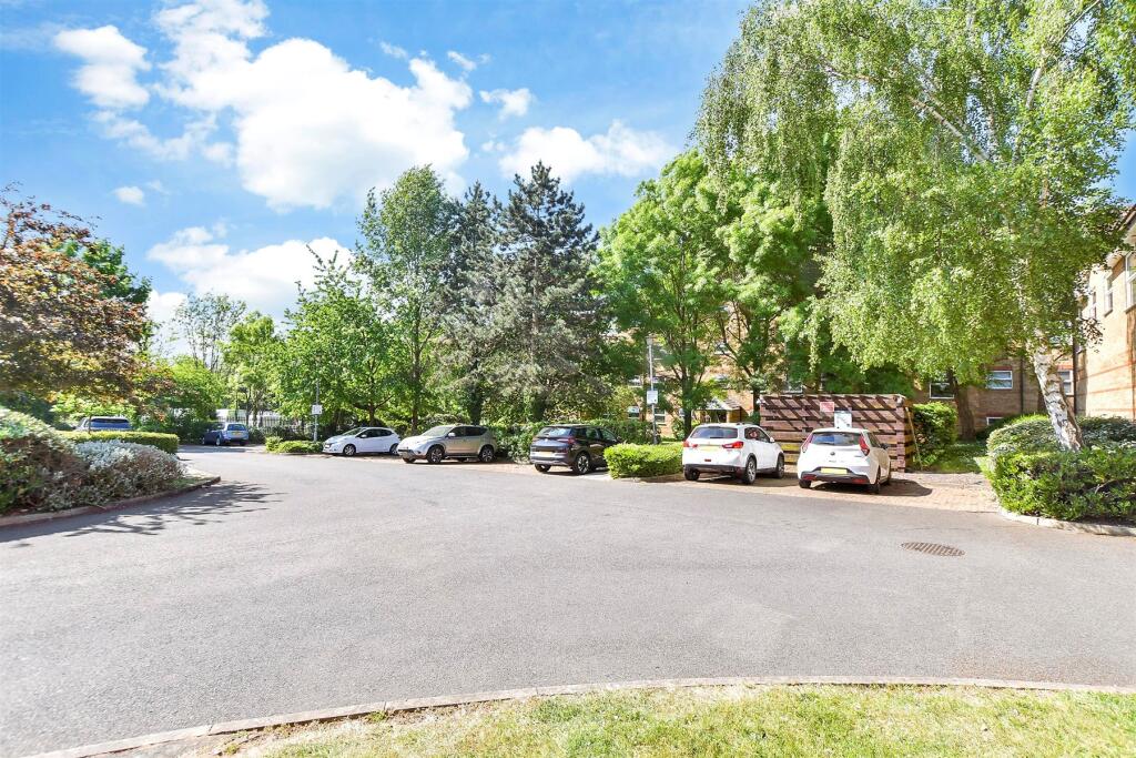 Driveway/Parking