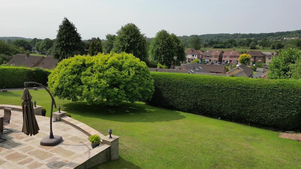 view from terracejpg