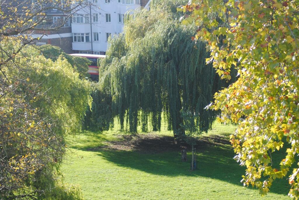 Peckham Rye