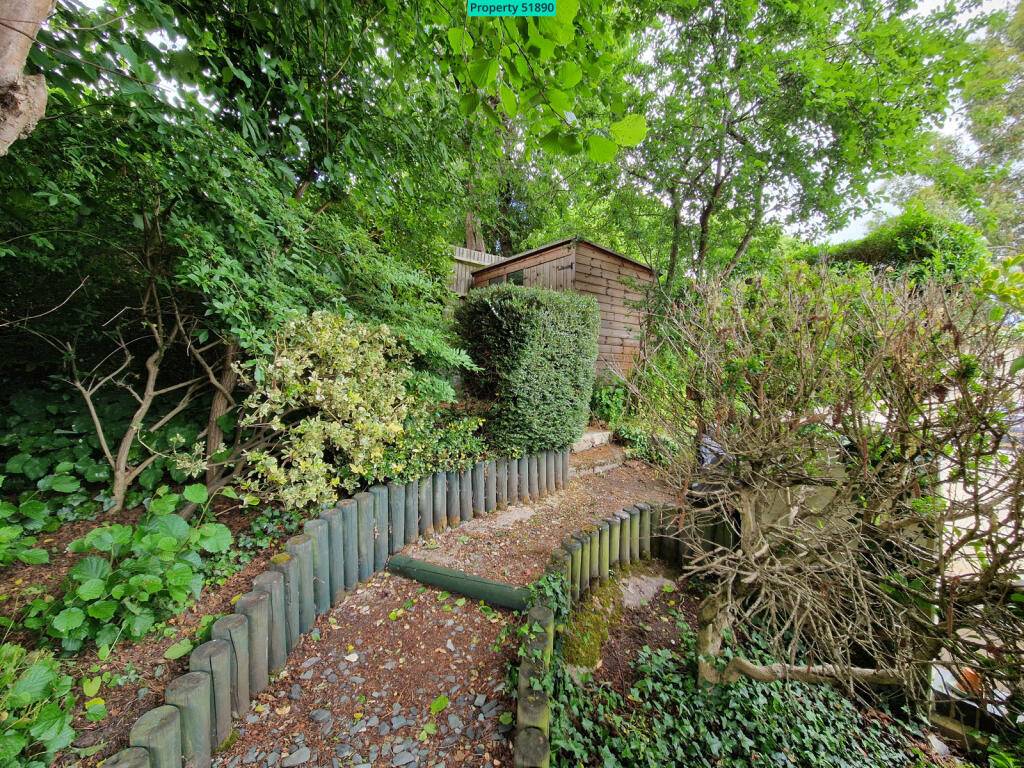 Path to shed