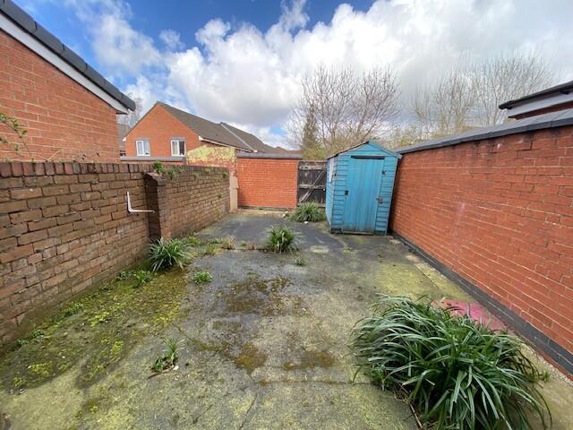 Rear Yard T202504011502.jpg