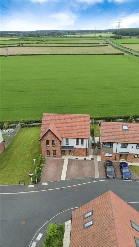 Drone Image - Field Views