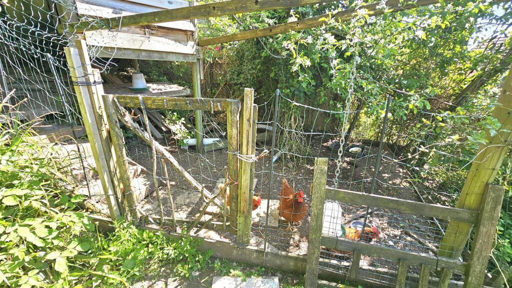 Chicken Coop.jpg