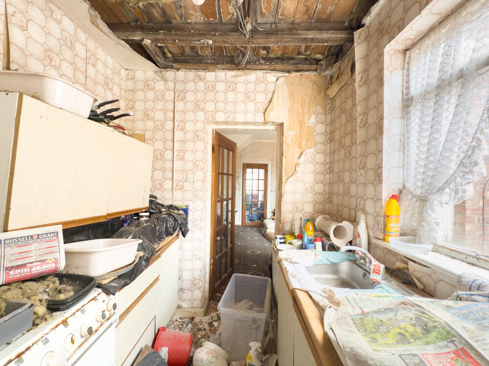 IMG 0917 T202507081052.jpg