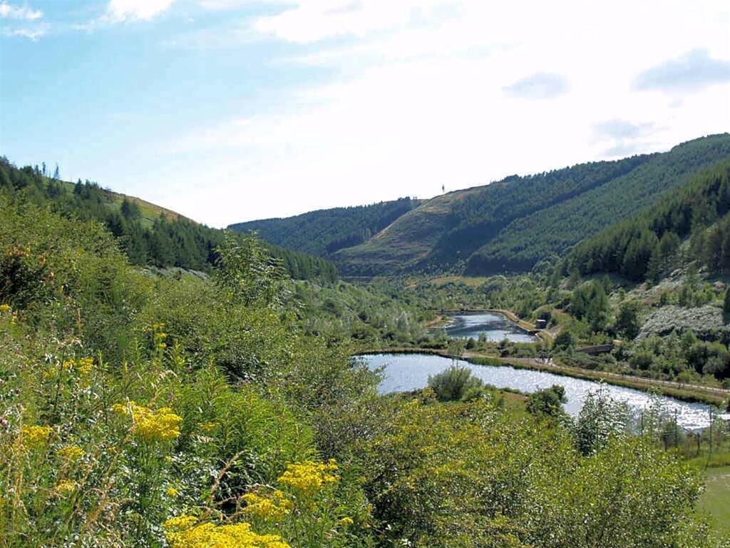 glyncorrwg-ponds.jpg