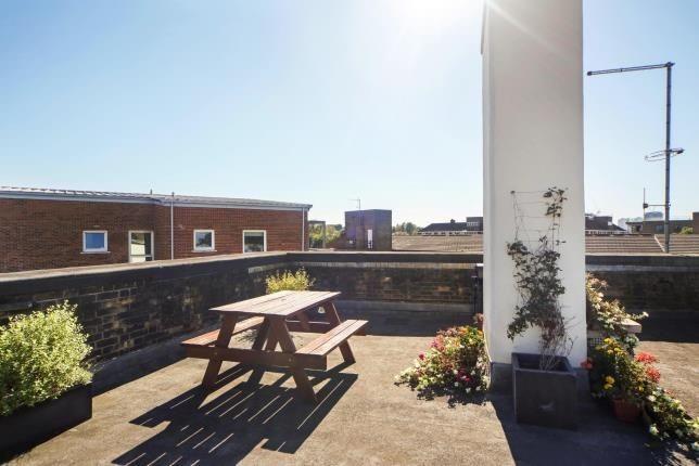 209 terrace.jpg