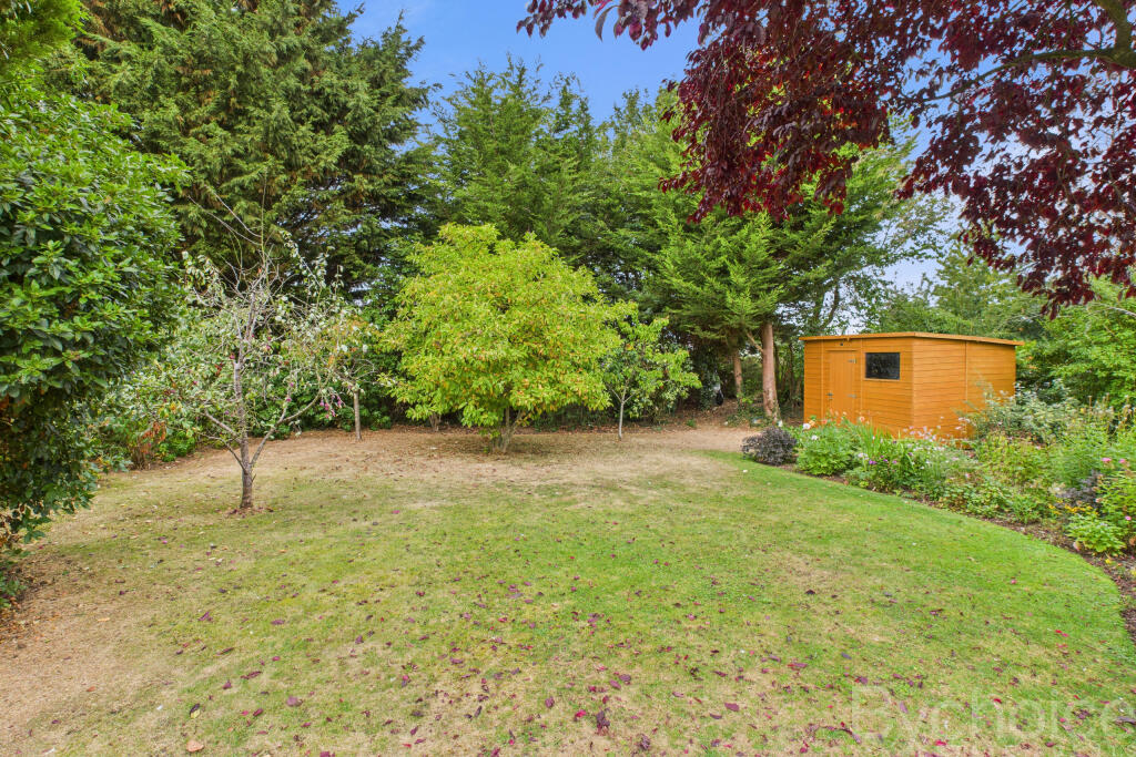 CAM05454G0-PR0045-STILL028