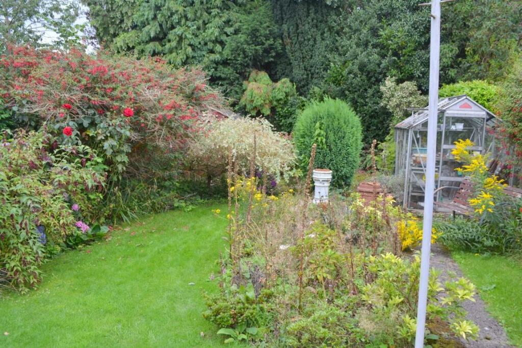 garden 3 (Medium).JPG