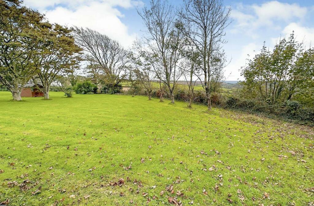 tlc_9ed1f957-e5f5-4a4a-8356-8c1448e1bbac_4ba7f34.j