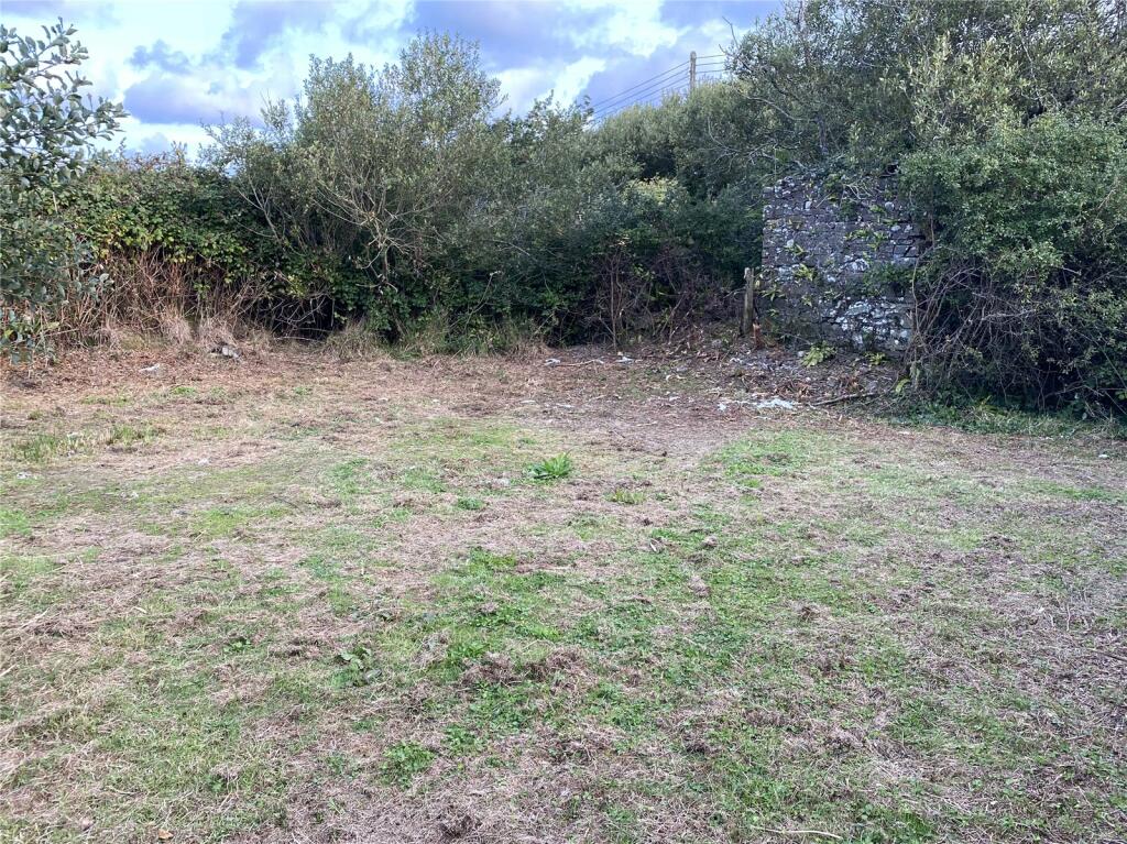 Picture No. 11