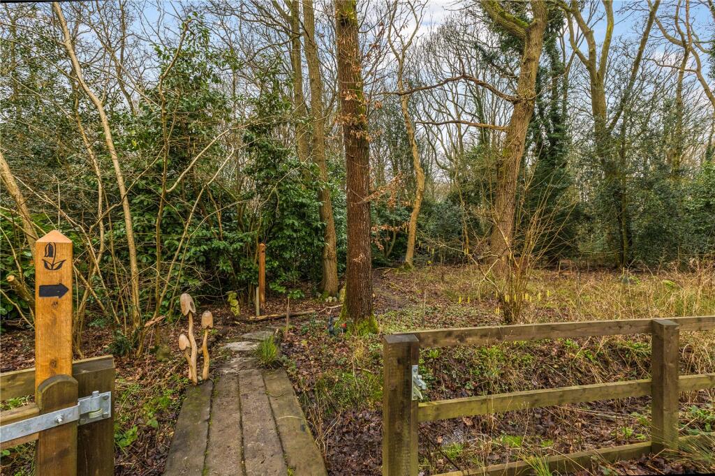 Woods