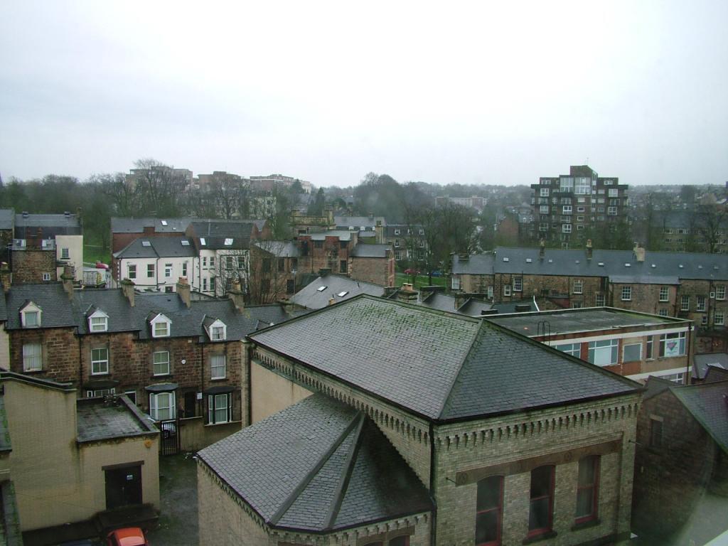 Picture No.12