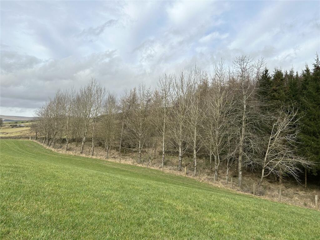 Woodland
