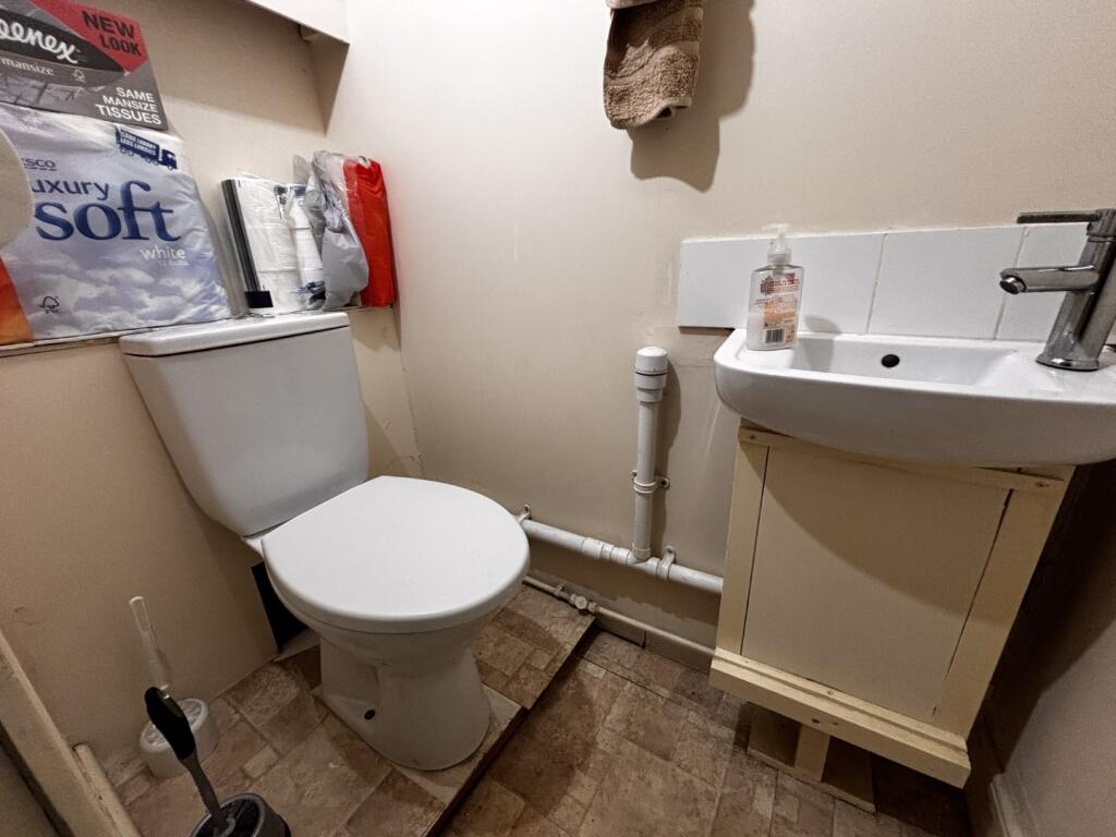 IMG 8190  Large  T202511031322.jpg