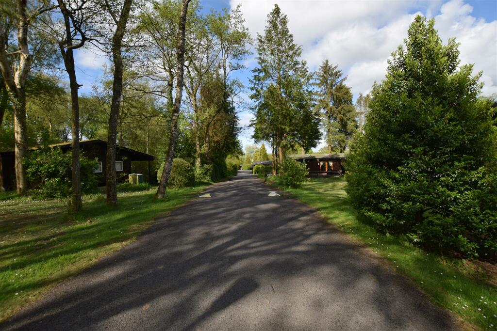 DSC_0220.JPG
