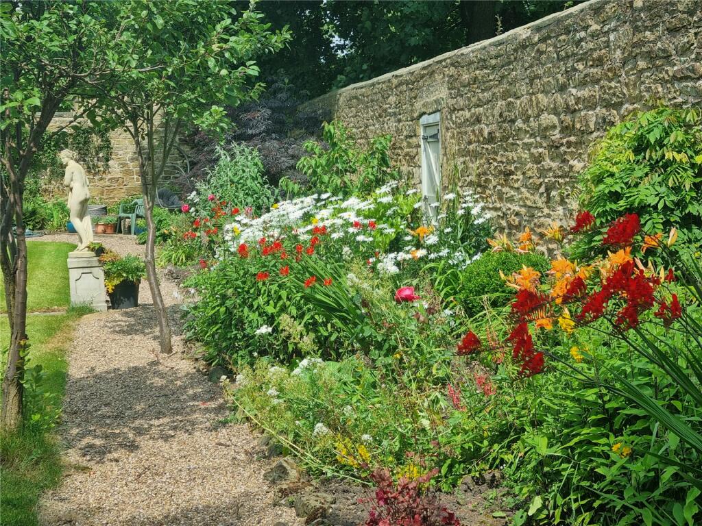 Back Garden