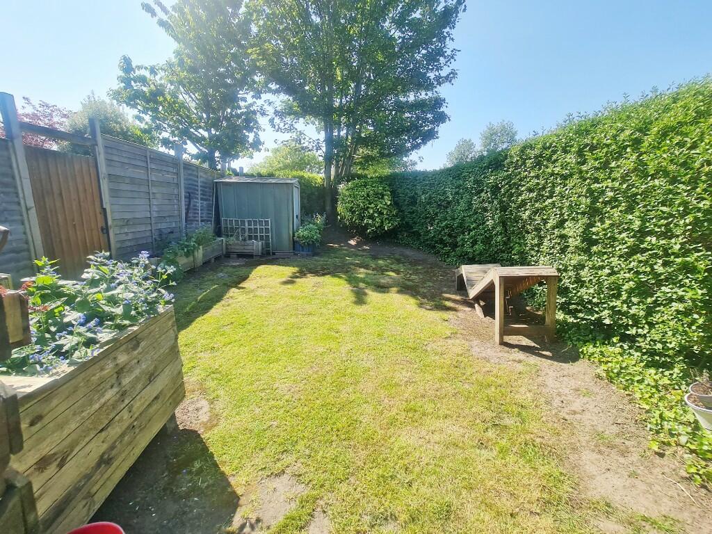 Communal Garden 2