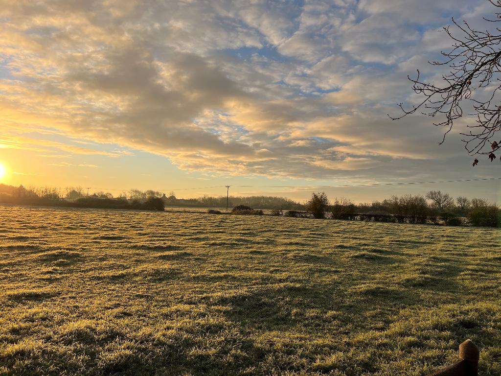 Surrounding Fields