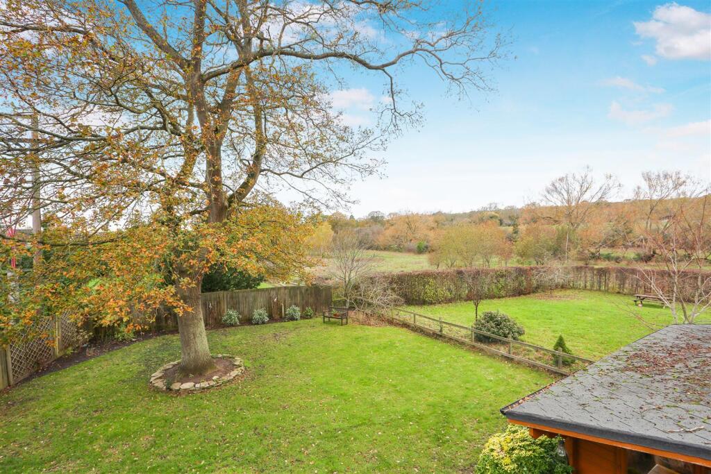 1577763541 -  Rye Field -17.jpg