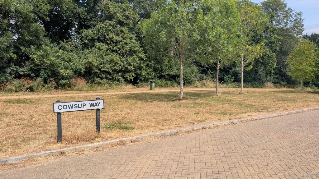 PXL_20250714_1048333